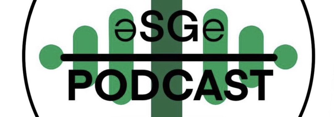 Podcasty 1SG