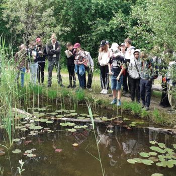 Donau Auen – Negotiators, Rays