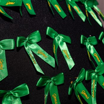 Stužková slávnosť – Gems