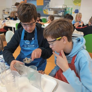 Kids lab Holkus Pokus – Rays