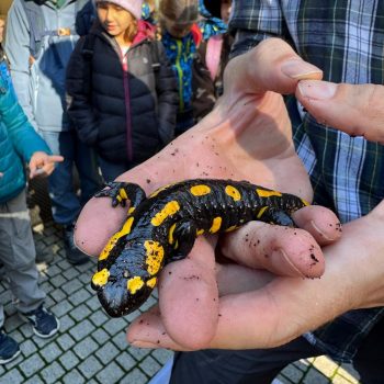 Ekocentrum – Anchors