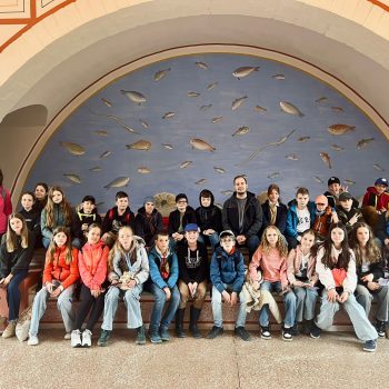 Carnuntum Rakúsko – Glaciers