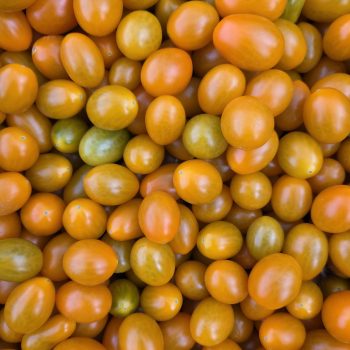 Exkurzia Paradajkovo – Glaciers