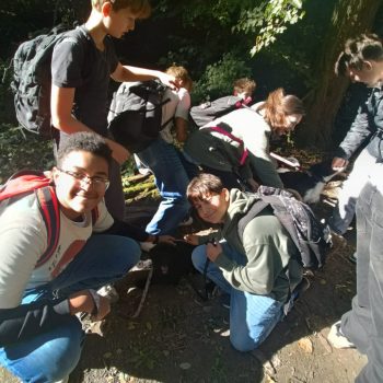 Návšteva zvieracieho útulku – 8. Rays