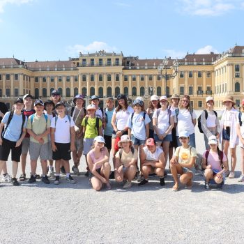 ZOO Schonbrunn – Ideas, Glaciers